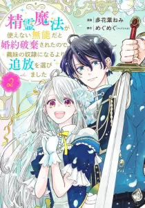 I was dumped for being a magicless good-for-nothing, so i chose exile over becoming my stepsister's slave 2 (shueisha girls comics)