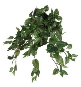 Декоративное растение Mica Decorations, 25x45x25 см, зеленый