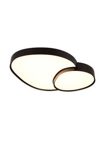 Trio Leuchten Потолочный светильник RISE в матово-черном цвете