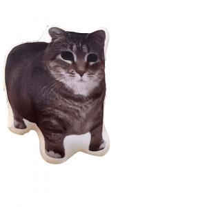 Котенок кукла с динамиком плюшевый кулон 6см высота FKOFR