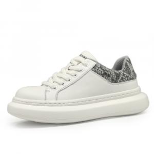 SENJIALUO Мужские устойчивые к истиранию сбалансированные легкие низкие кеды повседневные бело-серые, цвет White Gray