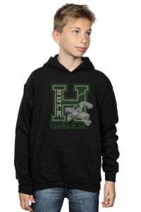 Халк Гамма Взрыв Толстовка Marvel, черный