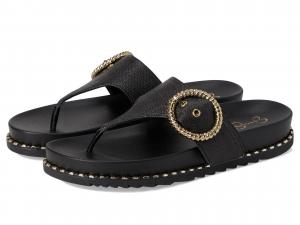 Сандалии Jessica Simpson Cymmeri Buckle Sandals, черный