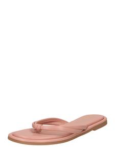 Сандалии с Т-образной перемычкой Dorothy Perkins, Powder