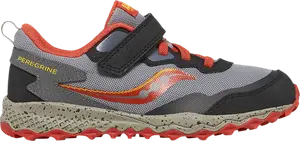 Кроссовки Peregrine KDZ A/C Big Kid 'Grey Red', серый