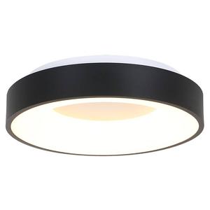 Светодиодный потолочный светильник Steinhauer Surgy II, акриловое стекло / железо - 1 пламя