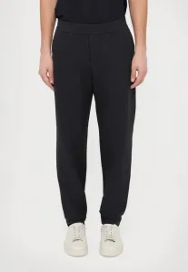 Брюки от спортивного костюма Emporio Armani, Blue