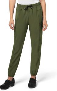 Женские спортивные брюки Carhartt Scrubs C52610 Force Modern Fit, Basil