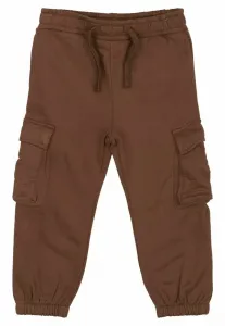 Брюки-Карго tnstlegend The New Siblings, Pinecone