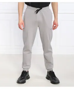 Спортивные штаны Regular fit Armani Exchange, серый
