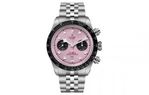 Мужские часы BLACK BAY Collection TUDOR