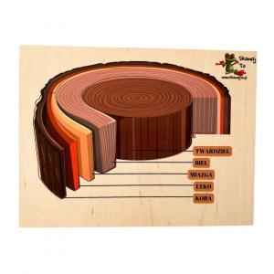 Пазл поперечного сечения ствола дерева, структура ствола, слои дерева Inna marka