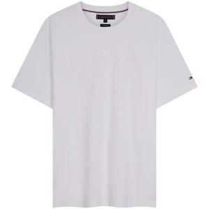 Футболка мужская Tommy Hilfiger, белый