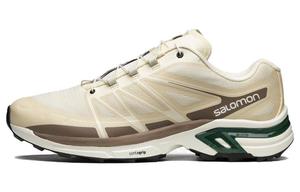 Кроссовки XT Wings 2 'Vanilla Ice Falcon' SALOMON, Beige Brown