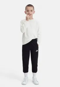 Спортивные штаны унисекс для презентации entrada Adidas Performance, Black/White