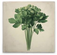 Картина на холсте A.S. Création Sellerie цвет cremebeigegrün