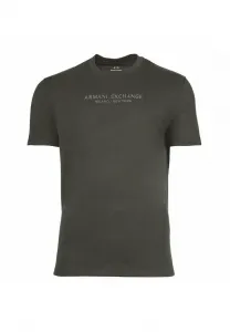 Футболка с обычным принтом Armani Exchange, Anthrazit (Chimera)