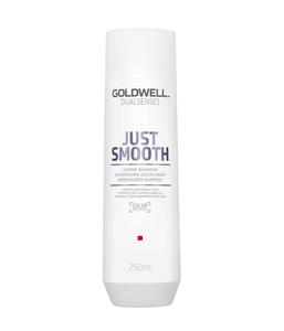 Шампунь для волос Goldwell Dualsenses Just Smooth Taming Shampoo, 250 ml