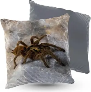 Подушка велюровая PREMIUM с рисунком паука, 40x40 см, декоративная с наполнителем, для гостиной, спальни или в подарок, 5 шт. 5made