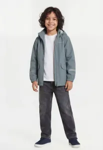 Водонепроницаемая куртка norma унисекс Didriksons, Factory Blue