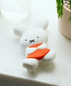 Силиконовая кисть [в сотрудничестве с Диком Бруной]