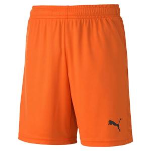 Детские шорты Puma teamGOAL 23 трикотажные шорты jr 704263