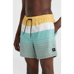 Шорты для плавания O´neill Mix&Match Cali Print 15´´ Swimming Shorts, зеленый