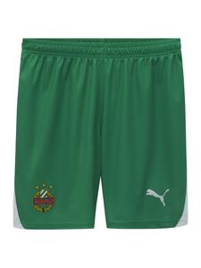 Шорты PUMA Regular Workout Pants, зеленый