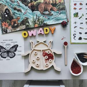 Сенсорный ящик Biedronka / Sensobox Inna marka