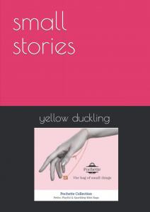 small stories (Independently published)