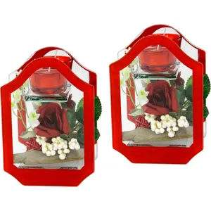 И.ГЕ.А. искусственное растение I.Ge.A., красный