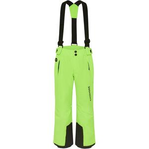 Лыжные штаны Chiemsee, зеленый