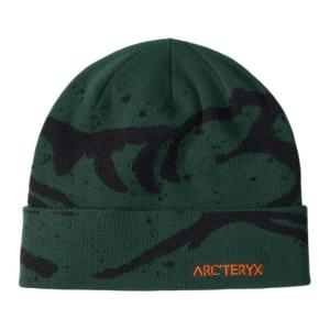 Arcteryx Зеленая унисекс шапка из полиэстера, Green