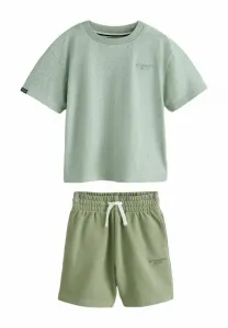 Спортивные штаны стандартного кроя Superdry & Co, Green