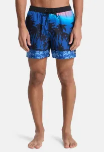 Плавки everyday с принтом volley 15 Quiksilver, Monaco Blue Thermotropics