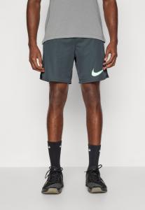 Спортивные шорты Nike Performance TOTALITY , Seaweed/Mint Foam/Dark Green