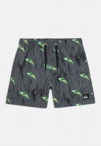 Пляжные шорты NEXT GEN VOLLEY Quiksilver, черный