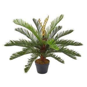 Декоративное растение Homescapes Palmfarne Pflanze im Topf, черный