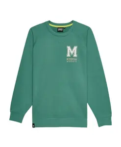 Зеленая мужская толстовка Munich, зеленый