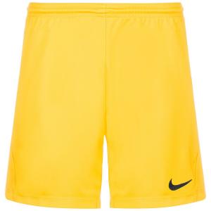 Обычные спортивные штаны NIKE Park III, желтый