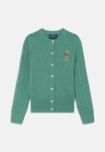 Кардиган Polo Ralph Lauren KIDS MINICABLBEAR CARDIGAN, Fairway Green/Green