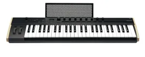 Синтезатор Korg Keystage с MIDI-контроллером, полифоническим афтэртачем, 49 клавиш