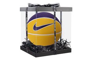 Баскетбольный мяч Nike