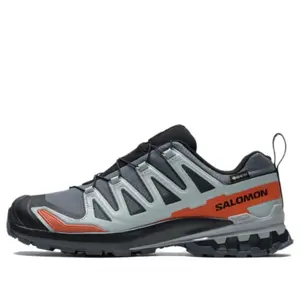Кроссовки Salomon XA Pro 3D V9 GTX 'Grey Light Blue', серый