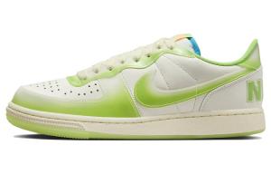 Мужские кроссовки для скейтбординга Nike Terminator