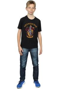 Хлопковая футболка Гриффиндора Harry Potter, черный