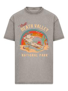 Рубашка F4NT4STIC US National Parks Visit Death Valley, серый