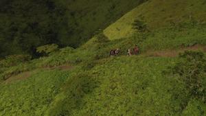 Камуфляжная туристическая поясная сумка Forclaz TRAVEL 7 л