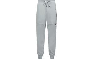 Трикотажные спортивные штаны мужские Evisu, серый