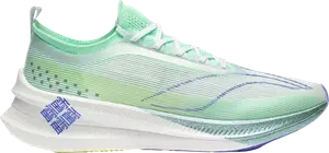 Кроссовки Feidian 3 Elite 'Light Green Purple', зеленый